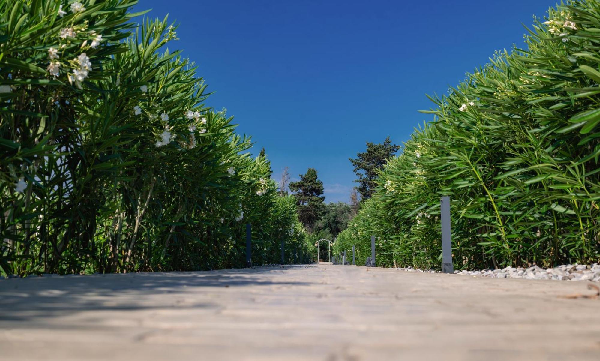 Theluxuryvillas Preweza Zewnętrze zdjęcie