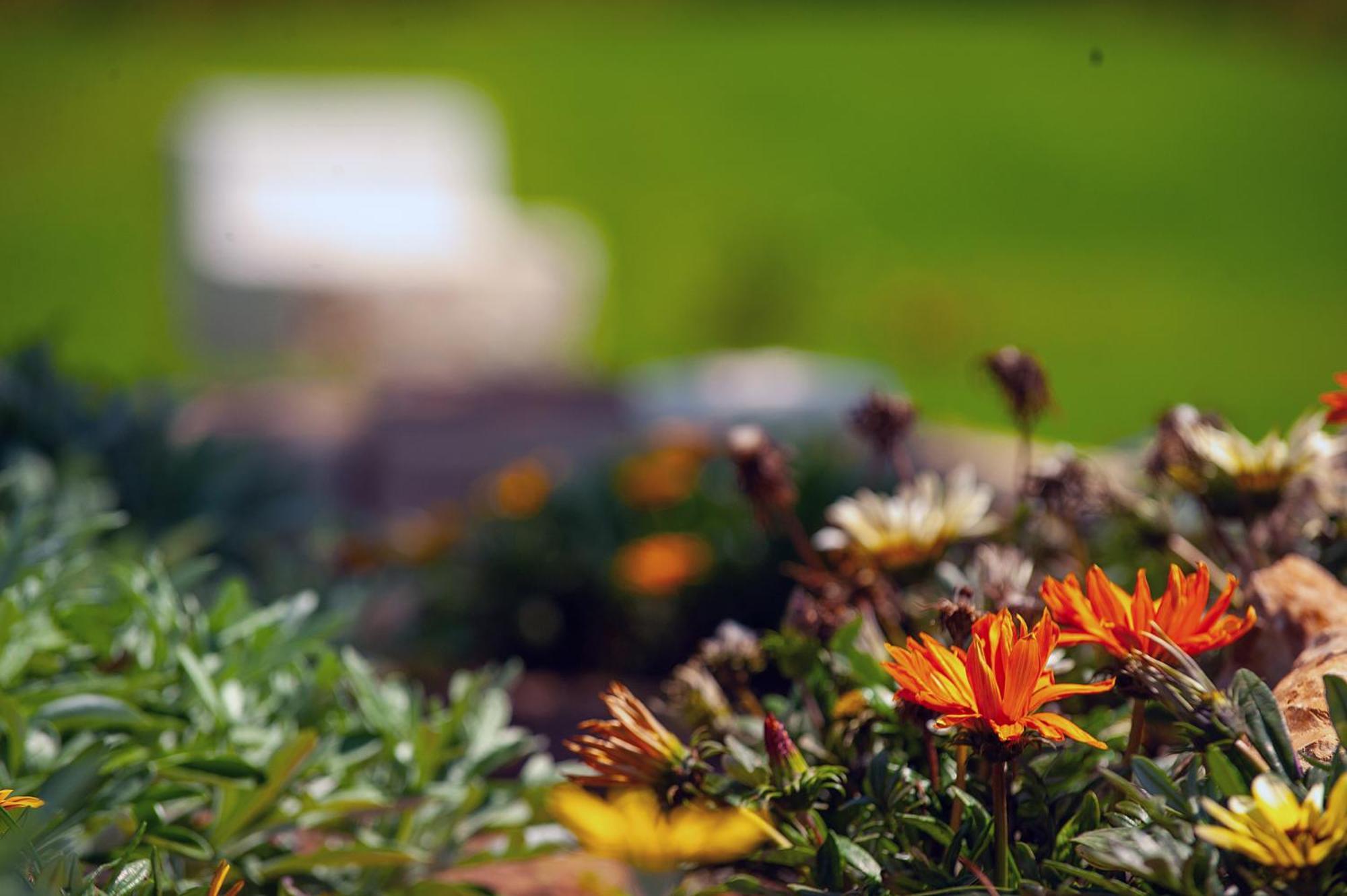 Theluxuryvillas Preweza Zewnętrze zdjęcie