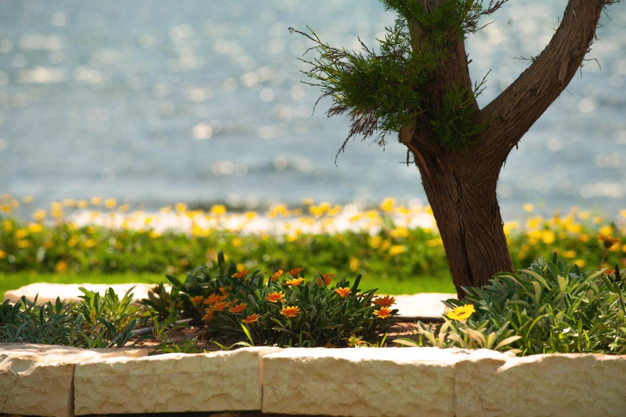 Theluxuryvillas Preweza Zewnętrze zdjęcie